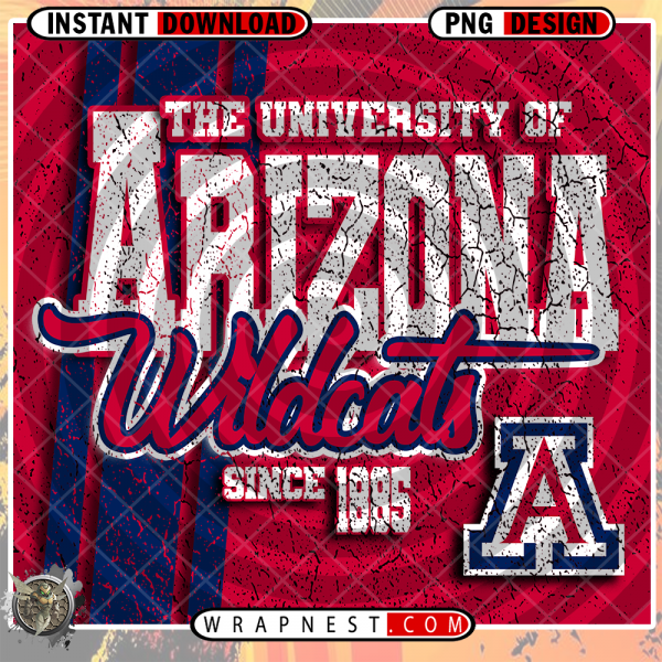 ARIZONA GRUNGE v2