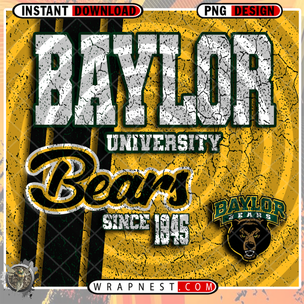 BAYLOR GRUNGE v2