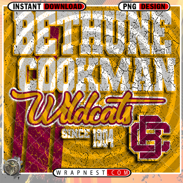 BETHUNE COOKMAN GRUNGE v2