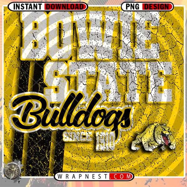 BOWIE STATE GRUNGE v2