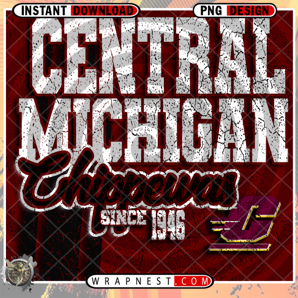 CENTRAL MICHIGAN GRUNGE v2