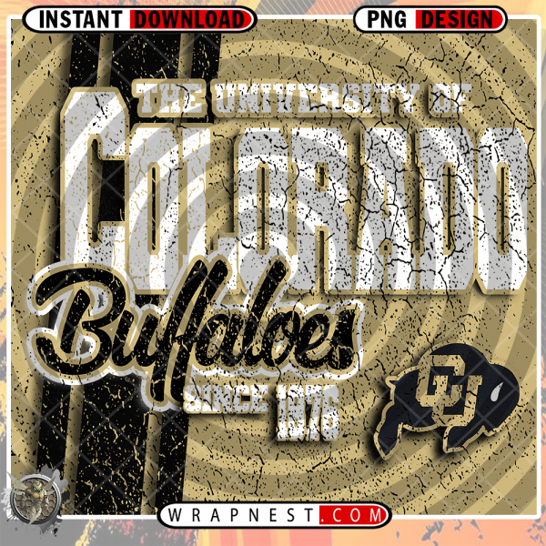 COLORADO GRUNGE v2