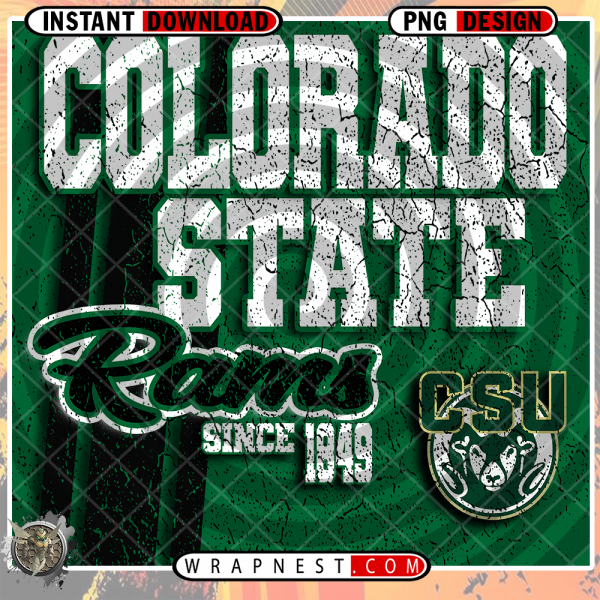 COLORADO STATE GRUNGE v2