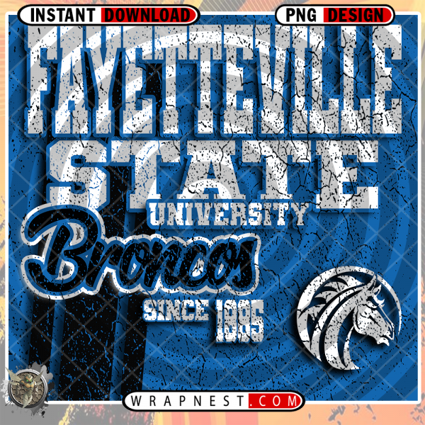 FAYETTEVILLE STATE GRUNGE v2