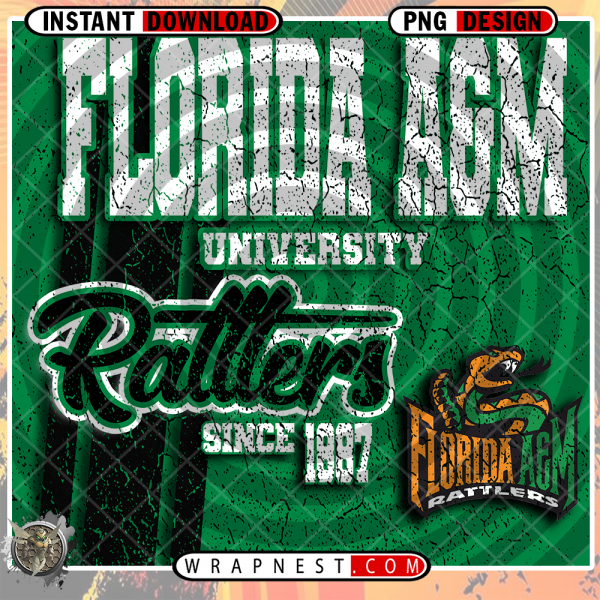 FLORIDA A&M GRUNGE v2