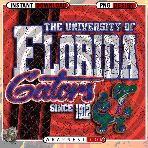 FLORIDA GRUNGE v2