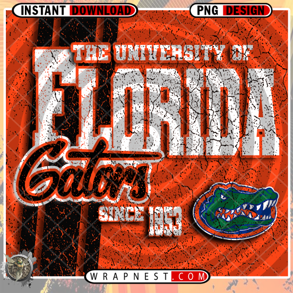 FLORIDA GRUNGE v2