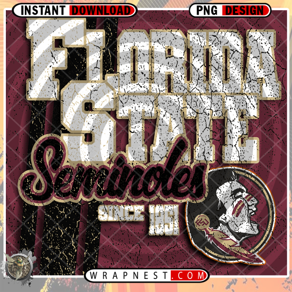 FLORIDA STATE GRUNGE v2