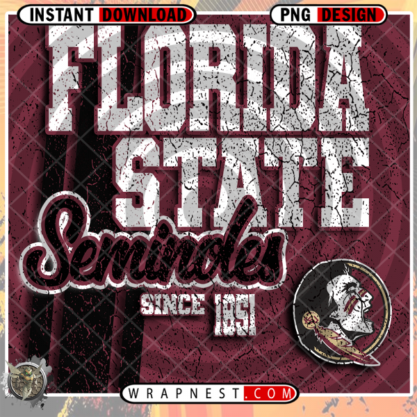 FLORIDA STATE GRUNGE v2