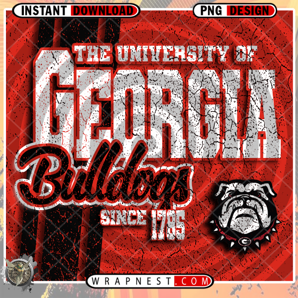 GEORGIA GRUNGE v2