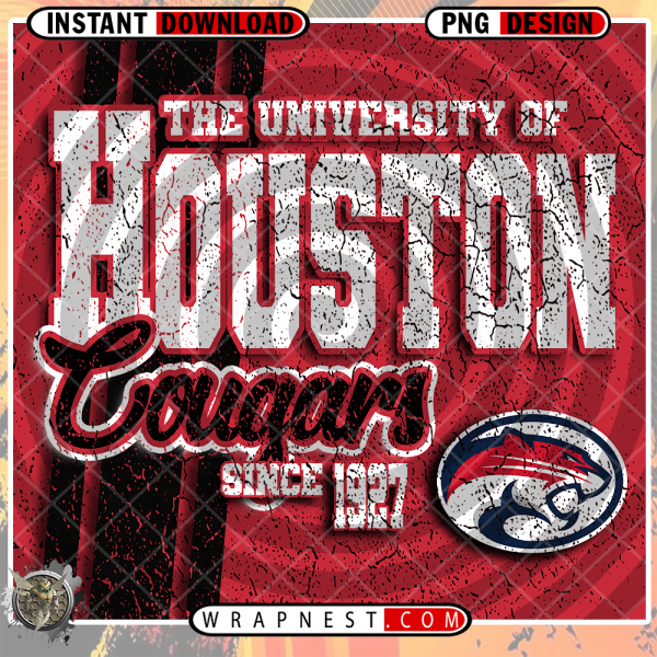 HOUSTON GRUNGE v2