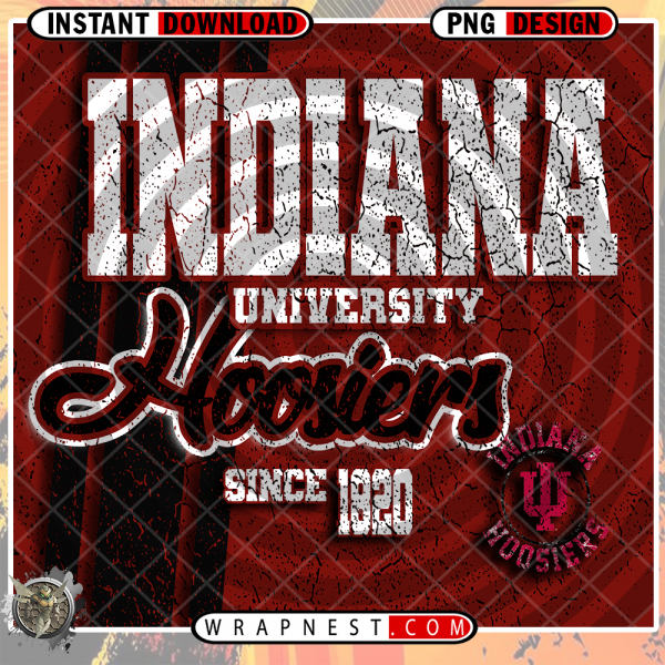 INDIANA GRUNGE v2