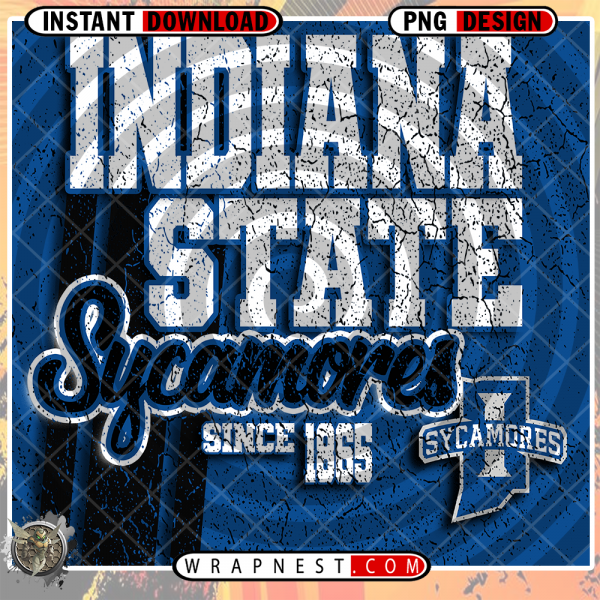 INDIANA STATE GRUNGE v2