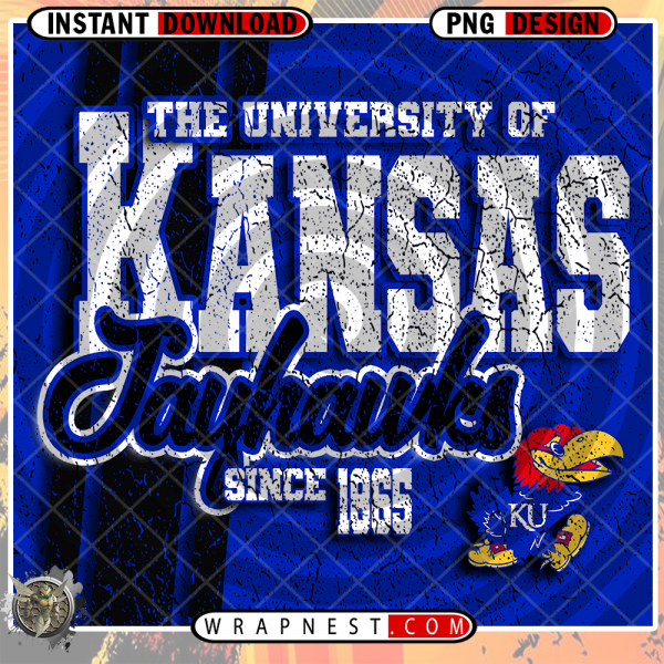 KANSAS GRUNGE v2
