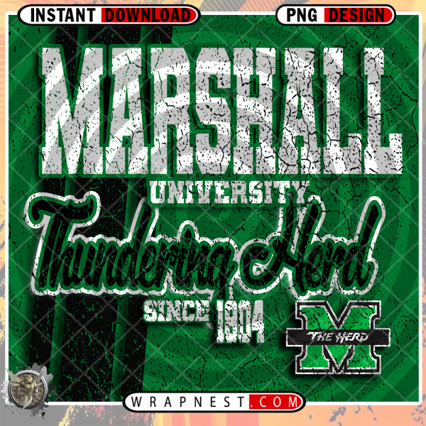 MARSHALL THUNDERING GRUNGE v2