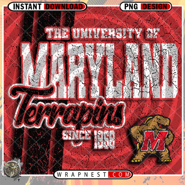 MARYLAND GRUNGE v2