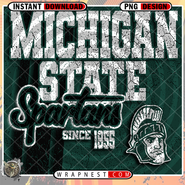 MICHIGAN STATE GRUNGE v2