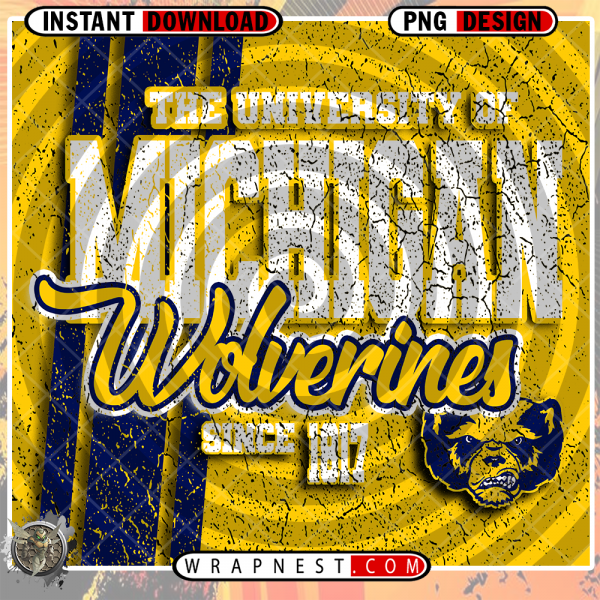 MICHIGAN GRUNGE v2