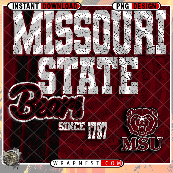 MISSOURI STATE GRUNGE v2