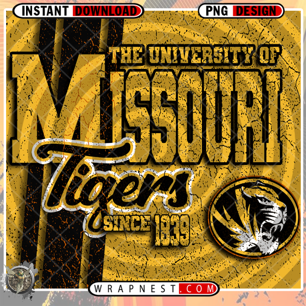 MISSOURI GRUNGE v2