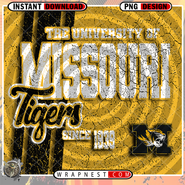 MISSOURI GRUNGE v2