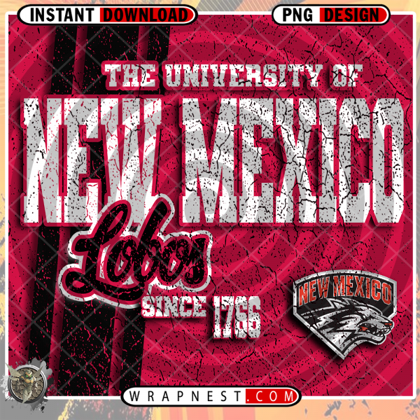 NEW MEXICO GRUNGE v2