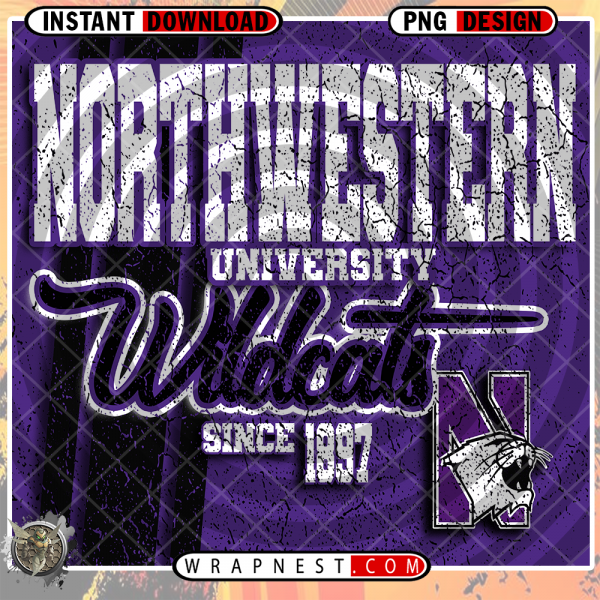 NORTHWESTERN GRUNGE v2
