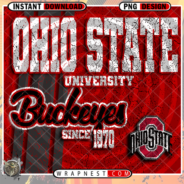 OHIO STATE GRUNGE v2