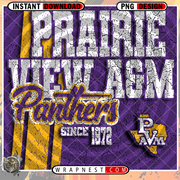 PRAIRIE VIEW A&M GRUNGE v2