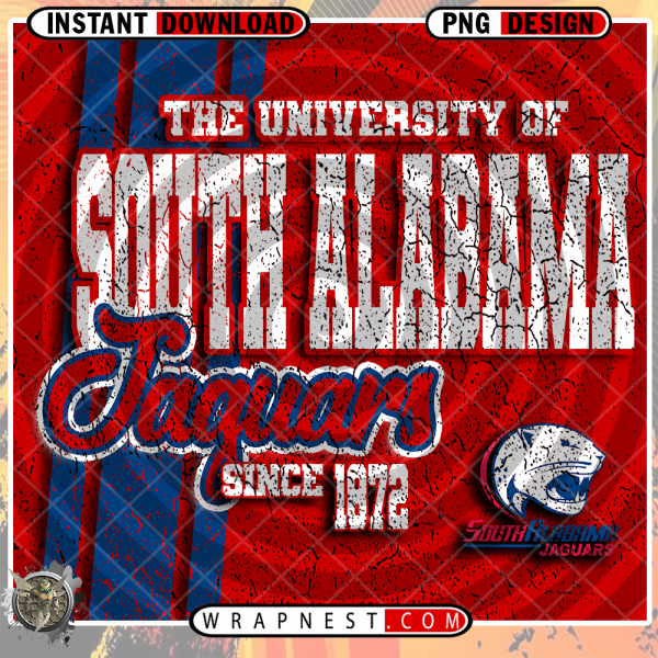 SOUTH ALABAMA GRUNGE v2