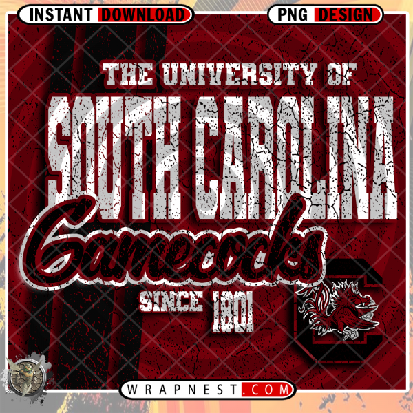 SOUTH CAROLINA GRUNGE v2