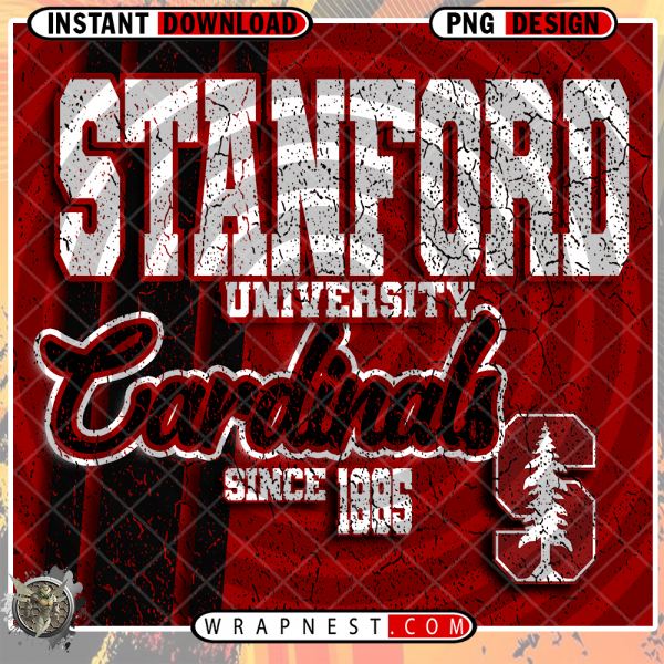 STANFORD GRUNGE v2
