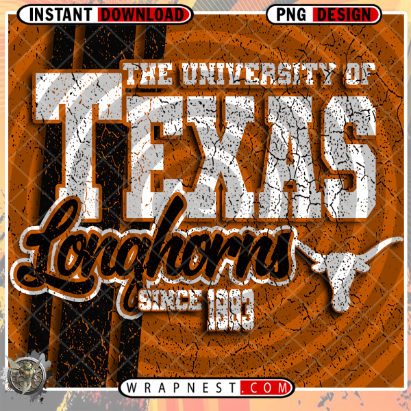 TEXAS GRUNGE v2