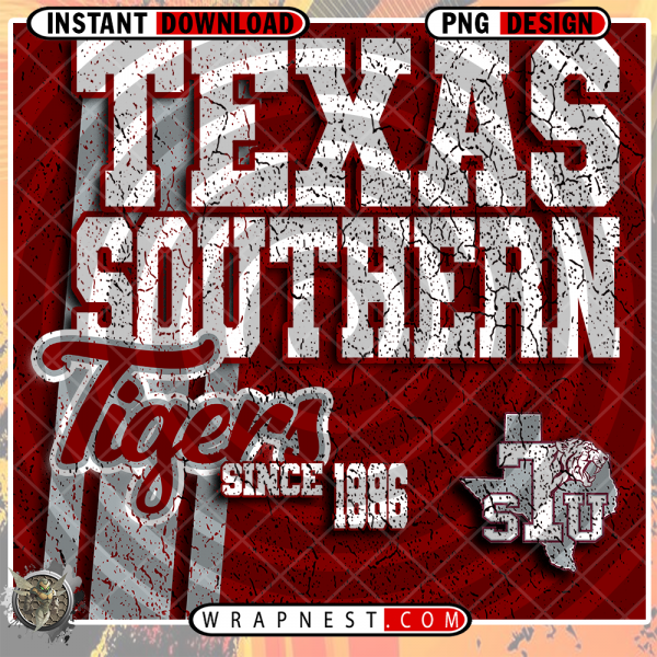 TEXAS SOUTHERN GRUNGE v2