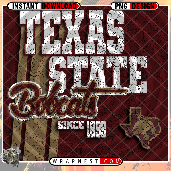 TEXAS STATE GRUNGE v2