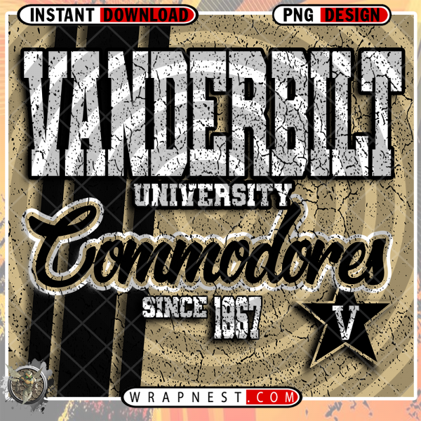 VANDERBILT GRUNGE v2