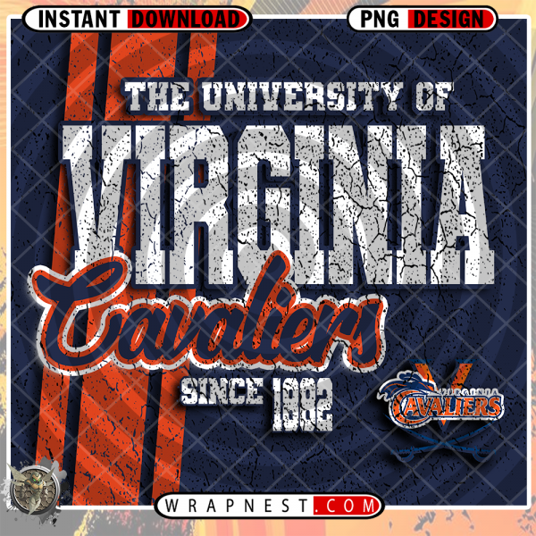 VIRGINIA GRUNGE v2