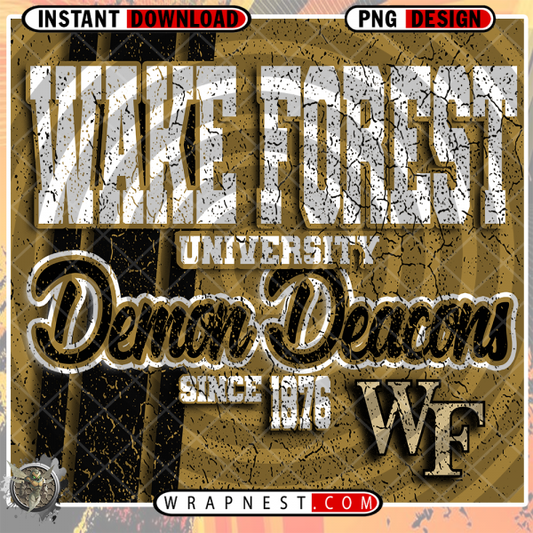 WAKE FOREST DEMON GRUNGE v2