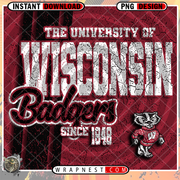 WISCONSIN GRUNGE v2