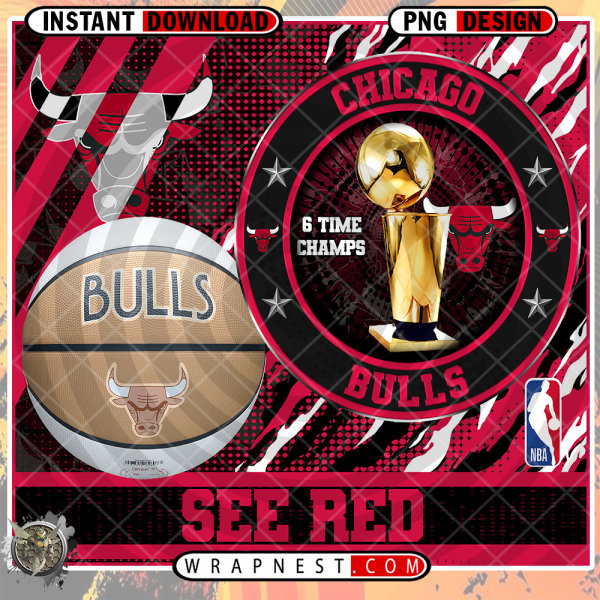 BULLS CHAMPION WRAP